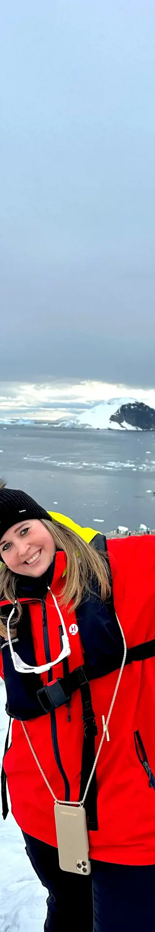 Pinguine – Die Wahrzeichen der Antarktis